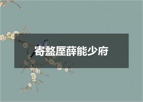 寄盩厔薛能少府