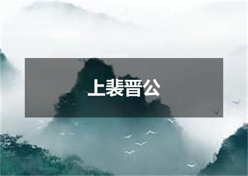 上裴晋公