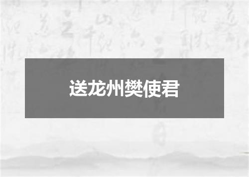 送龙州樊使君