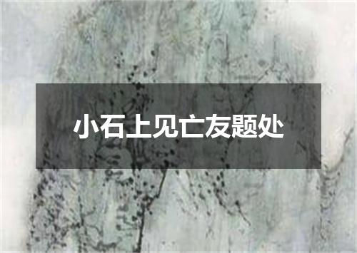 小石上见亡友题处