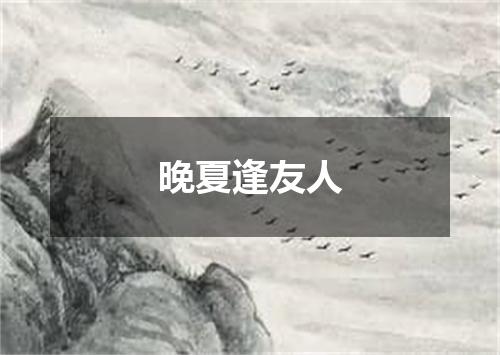 晚夏逢友人