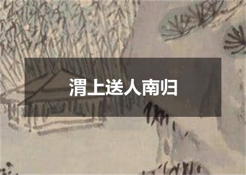 渭上送人南归