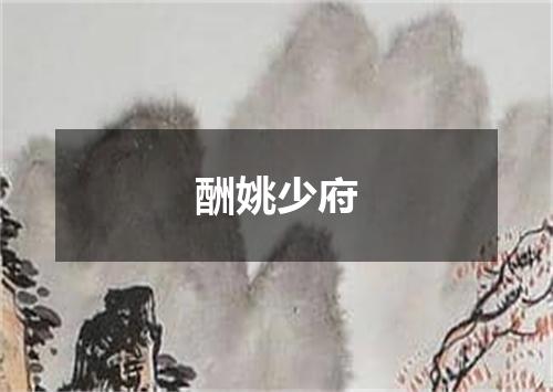 酬姚少府