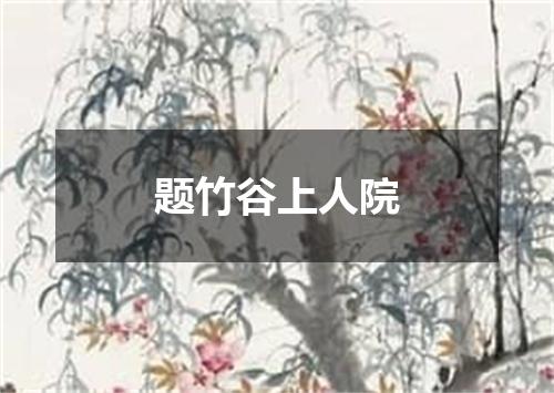 题竹谷上人院