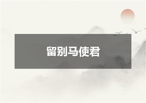 留别马使君