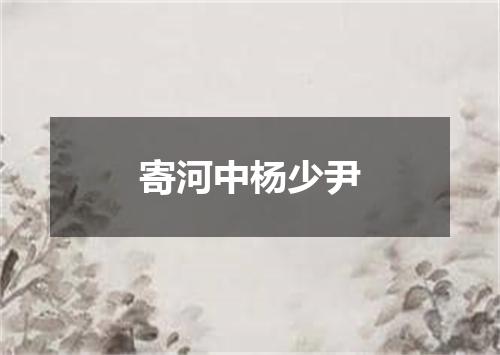 寄河中杨少尹