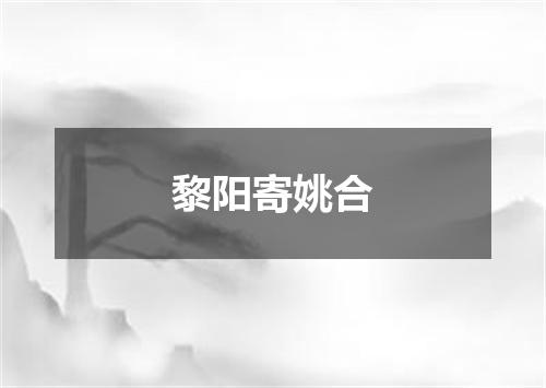 黎阳寄姚合
