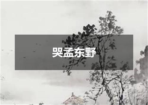 哭孟东野