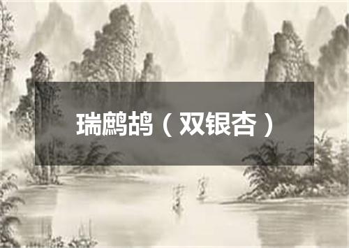 瑞鹧鸪（双银杏）