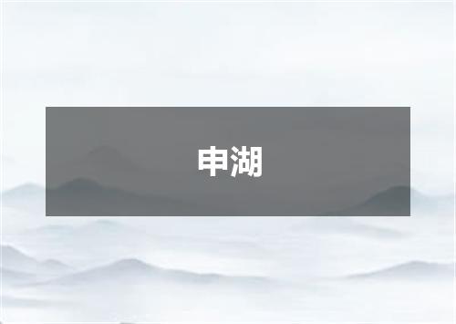 申湖