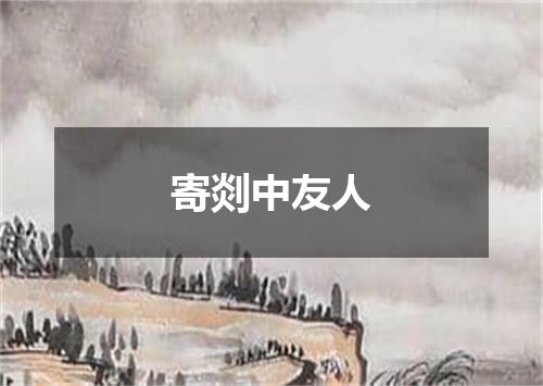 寄剡中友人