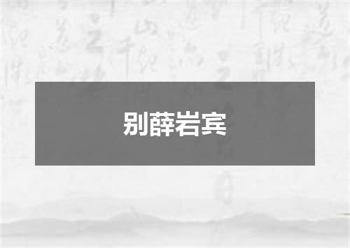 别薛岩宾