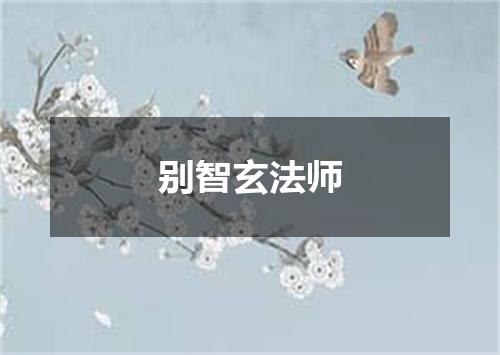 别智玄法师
