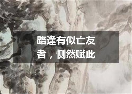 路逢有似亡友者，恻然赋此