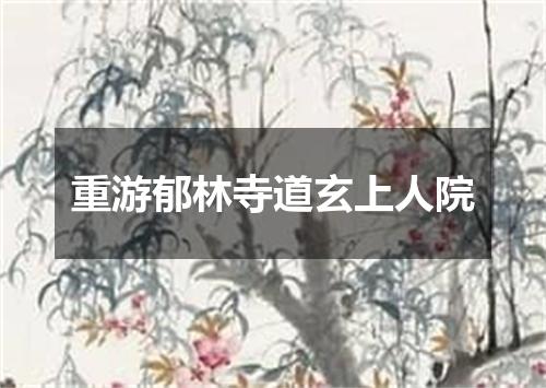 重游郁林寺道玄上人院