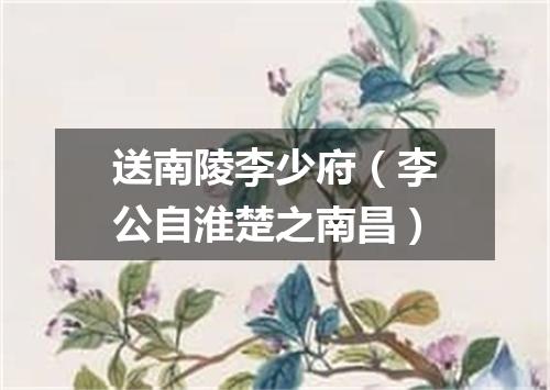 送南陵李少府（李公自淮楚之南昌）