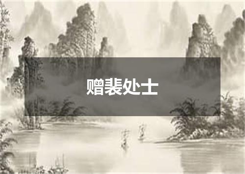 赠裴处士