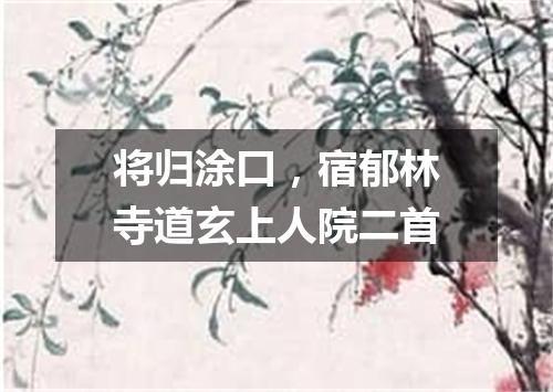 将归涂口，宿郁林寺道玄上人院二首
