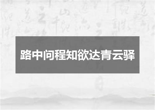 路中问程知欲达青云驿
