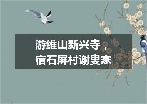 游维山新兴寺，宿石屏村谢叟家