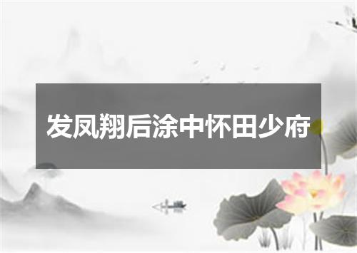 发凤翔后涂中怀田少府