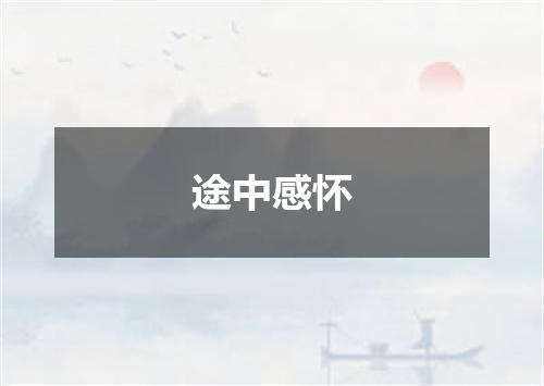 途中感怀