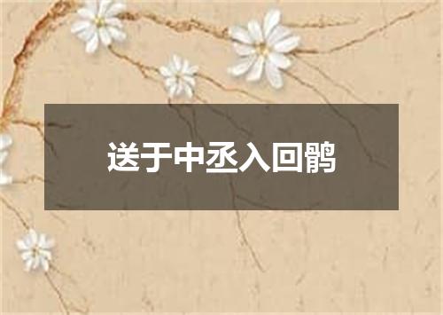 送于中丞入回鹘