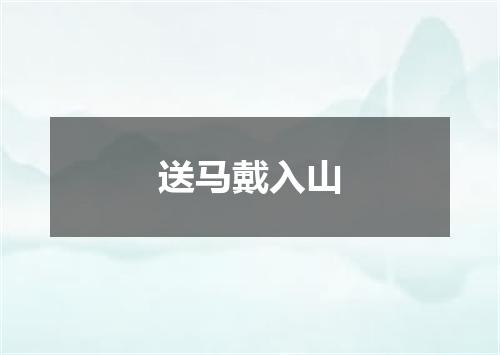 送马戴入山