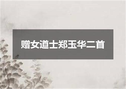 赠女道士郑玉华二首