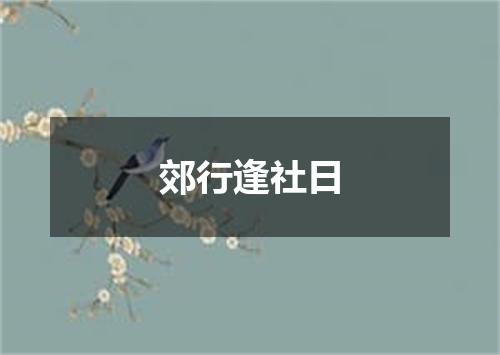郊行逢社日