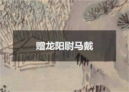 赠龙阳尉马戴