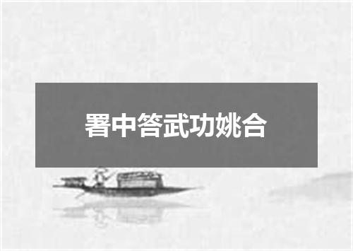 署中答武功姚合