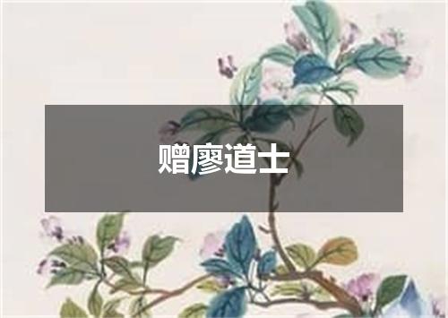 赠廖道士
