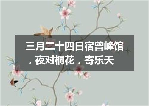 三月二十四日宿曾峰馆，夜对桐花，寄乐天