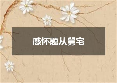 感怀题从舅宅
