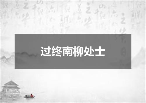 过终南柳处士