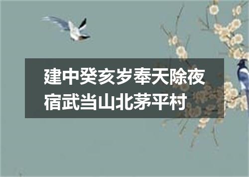建中癸亥岁奉天除夜宿武当山北茅平村