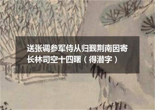 送张调参军侍从归觐荆南因寄长林司空十四曙（得潜字）