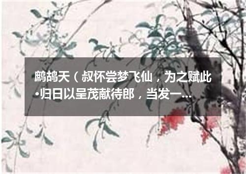 鹧鸪天（叔怀尝梦飞仙，为之赋此·归日以呈茂献待郎，当发一笑）
