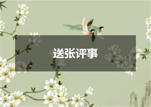 送张评事