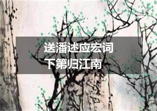 送潘述应宏词下第归江南