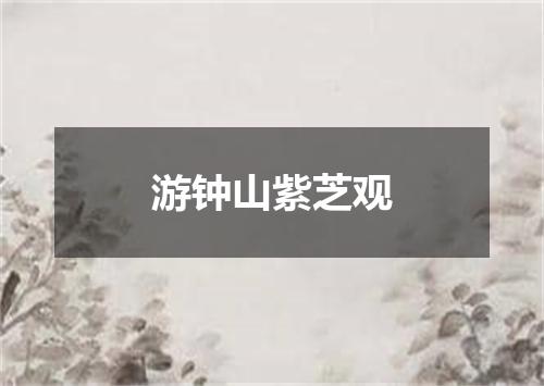 游钟山紫芝观