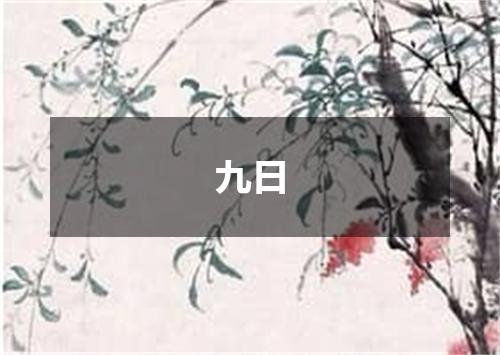 九日