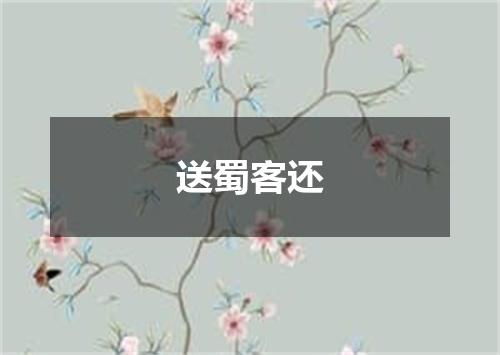 送蜀客还