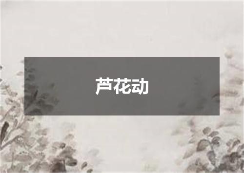 芦花动