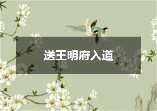 送王明府入道