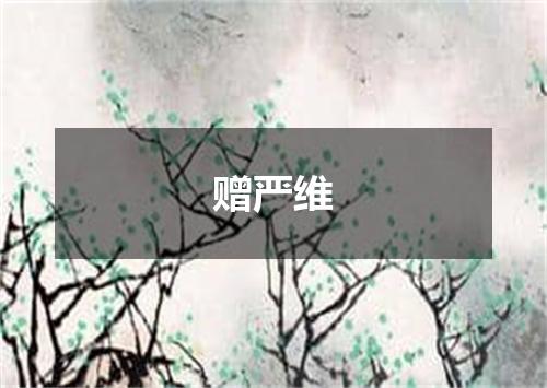 赠严维