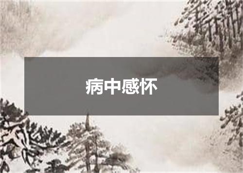病中感怀
