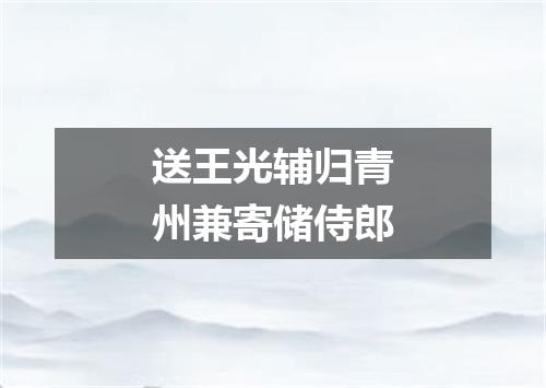送王光辅归青州兼寄储侍郎