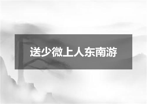 送少微上人东南游